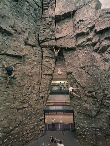 nicros-climbing-wall-university-houston-1